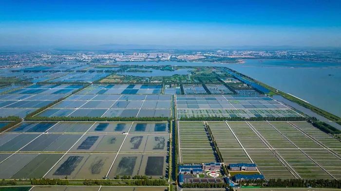 航拍高淳固城湖螃蟹核心區(qū)。高淳區(qū)融媒體中心供圖